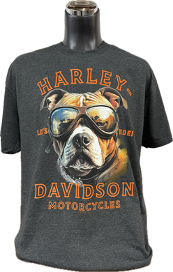 HD Buddy