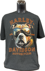 HD Buddy