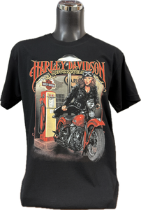 H-D Pinup Ride