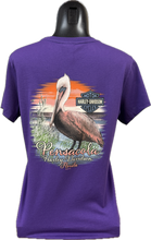 Purple Pelican