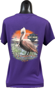 Purple Pelican